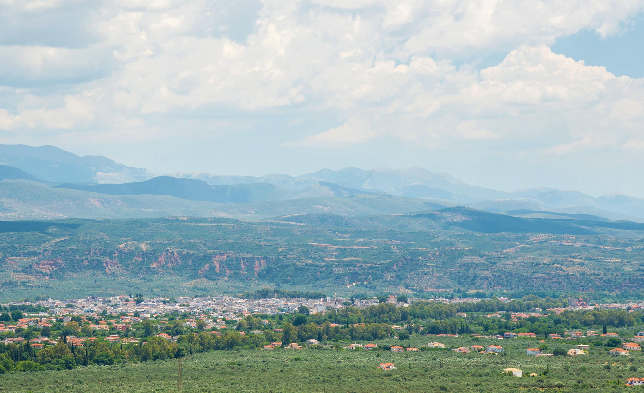 Olivenbaum in Vordonia, Griechenland
Olivenbaum in Vordonia, Griechenland