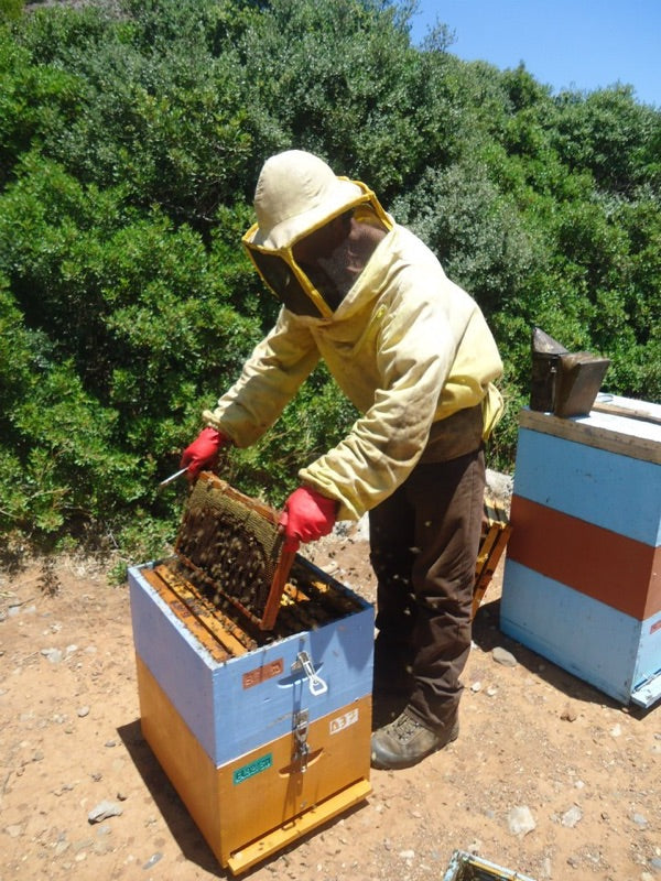 Meet Manos, Artisan Beekeeper